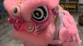 正儿八经的舞狮没耐心看是吧？那我们就整活！这狗里狗气的舞狮你们喜欢看了吧