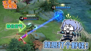 王者欢乐秀：当诸葛亮开大清野会发生什么？此时一团空气路过！