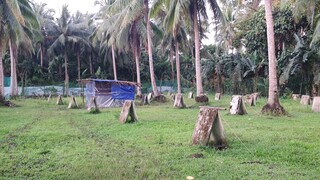 The Range