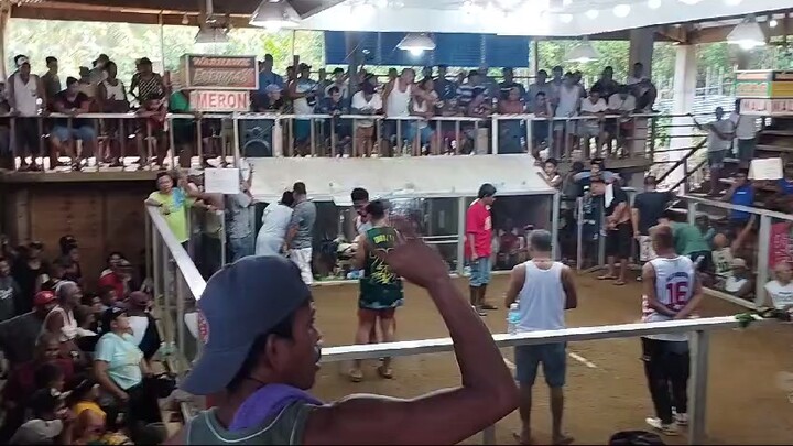 2nd fight 2cocks ulotan in cabay Eastern samar may 11 2024