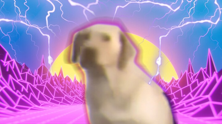 Chó nhạc điện chất lượng cao~