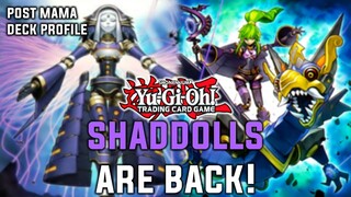 THE BEST ROGUE FUSION DECK OF THE FORMAT | Yu-Gi-Oh! Pure Shaddolls Branded Dogmatika Deck Profile