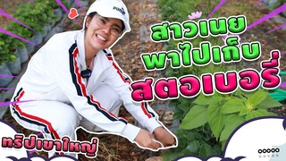 [{ ไปกับเนย }] Ep.04 สาวเนยพาไปเก็บสตอเบอร์รี่