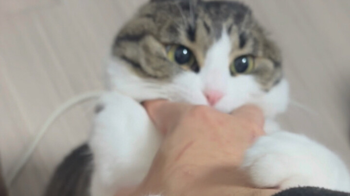 My snacking when I get home late