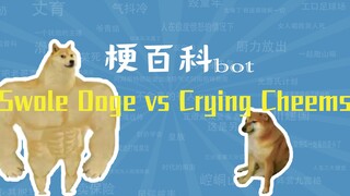 มีม Swole Doge กับ Crying Cheems คืออะไร? [คู่มือมีม]