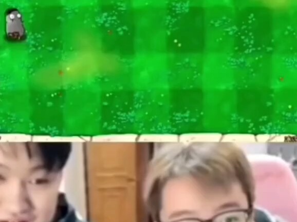 Chen Ze's Plants vs. Zombies