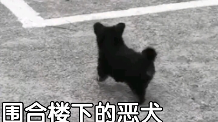 Help! He’s seriously so cute!