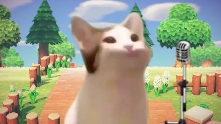 POPO Cat Sings (Really Meow-Meow Voice)