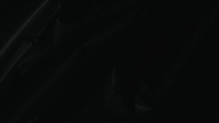 BILIBILI