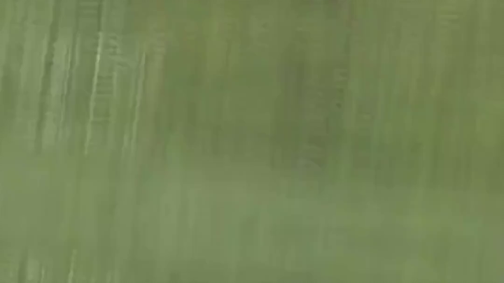 "Herd of Horses Standing Steadfast in the Rain: Why Does China’s Ox-and-Horse Culture Resonate So De