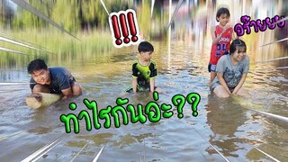 พี่สาว V น้องชาย  แน่จริงก็ตามให้มันสิ!!! ขี่กล้วยต้น ใหญ่!!!  / TiggerShow