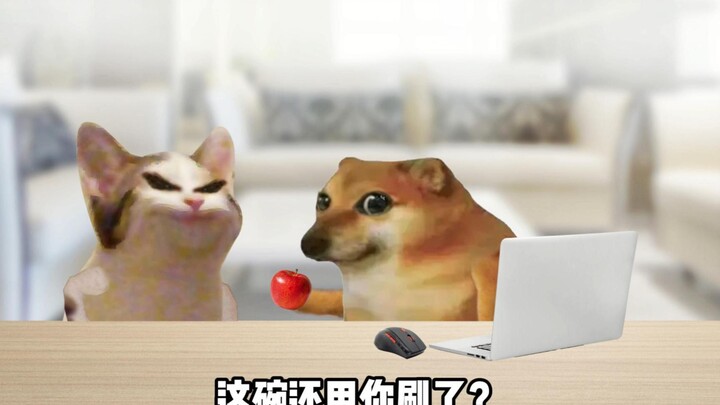 这些是你该干的活吗