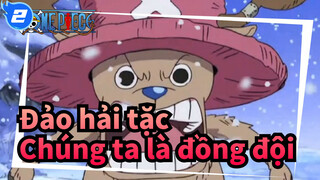 [Đảo hải tặc] Chúng ta là đồng đội_2