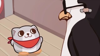 小秦，但是地面技巧很好