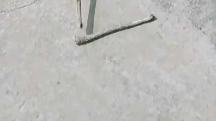 Can't hold it in anymore, you mean?