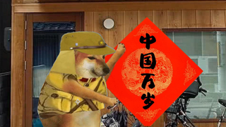 虽是日本犬，却有中国心