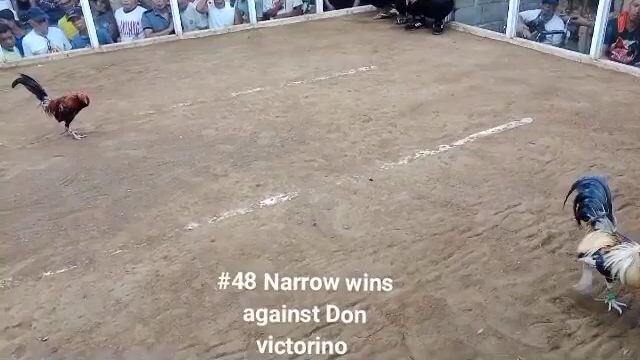 5th win of our small but deadly grey