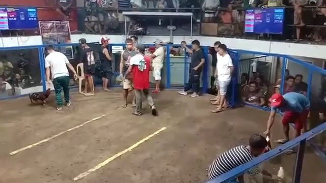 2 hits second fight win champion 👌🏻