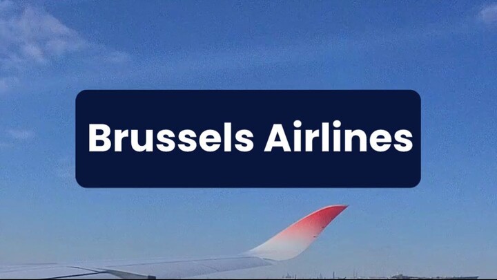 What Should You Know About Brussels Airlines Before Flying? Complete Guide 🛫