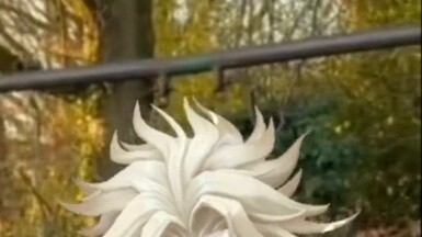 The deleted parts of the Peacock King CG