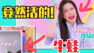 竟然是活的？reaction恐怖箱！赵粤摸牛蛙！吓坏王艺瑾！