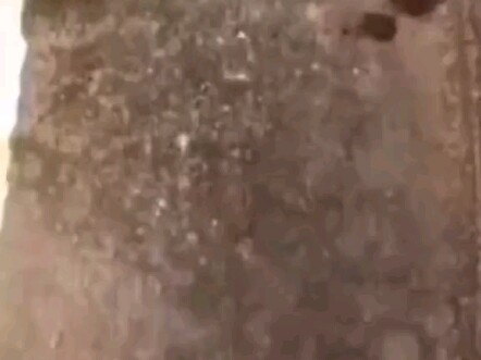 ในที่สุดก็ดูจบแล้ว พวกเราเก่งจริงๆ!