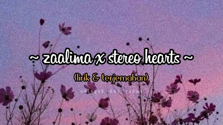 Zaalima x Stereo Hearts || lirik & terjemahan || Tik Tok (Dj Sid Mushups)