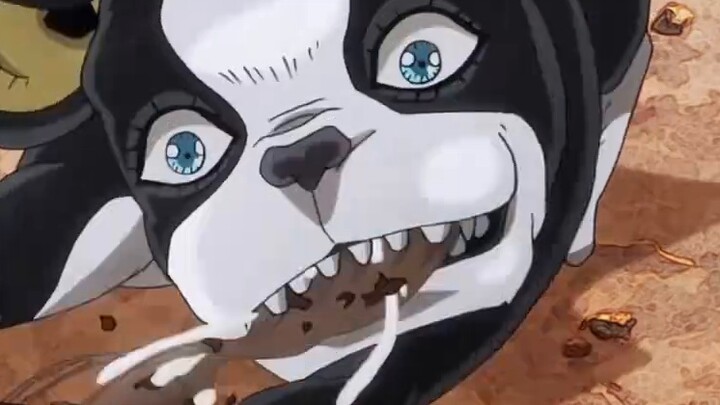أبرز شخصية حيوانية مؤثرة في JOJO! إيتشي: ينقذ بوبو بحياته، ويثابر على عزيمته حتى النهاية