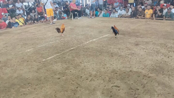 .nag pa bogbog mona bago gante.