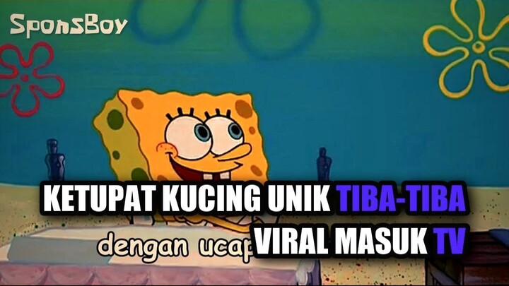 Ketupat Kucing Unik Tiba-Tiba Viral Masuk TV