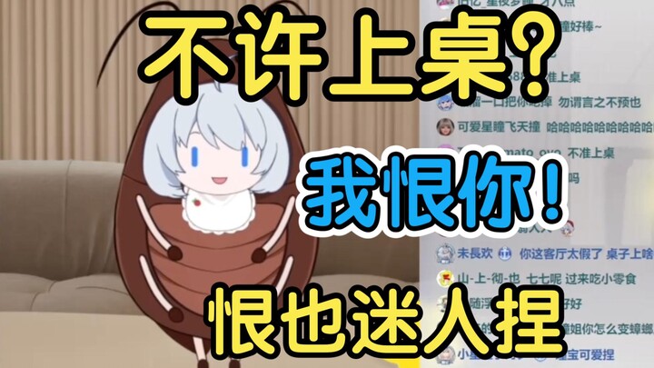 我就要上桌！谁来都拦不住！😡