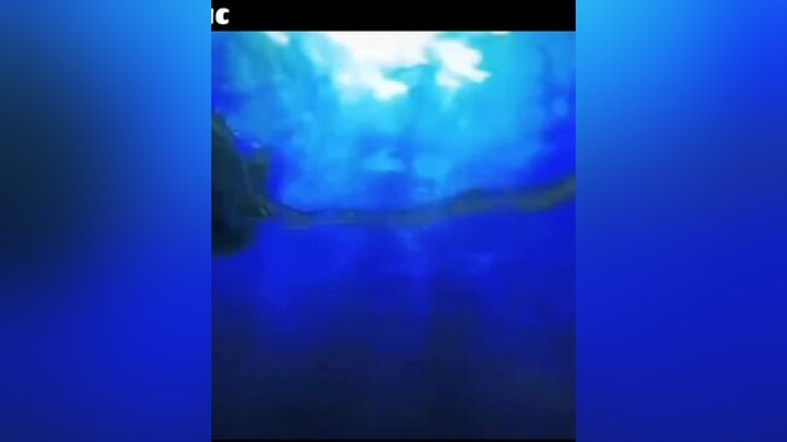 bài hát tuổi thơ này không biết ai còn nhớ khum nữa...☺️🤧🤫💙💙🎵🎵🎧🎧🎧anime#onepiece#luffy#luffyonepiece#zoro#nami#usopp#sanji#chopper#robin#franky#Ace#trafalgarD#reiju#shanks#animeedit#xuhuong#xh#music#ch