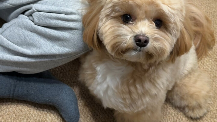 ปล่อยน้ำแล้ว