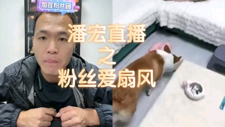 [Pan Hong Live Replay] “Dude, you’re just torturing the dog lovers! 39,000 people in the live stream