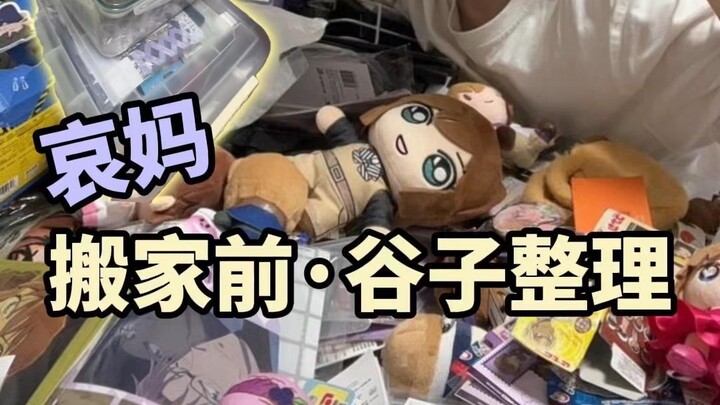 灰原哀谷子整理+搬家准备💜