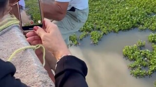 فيديو هذا العام الأكثر إثارة للقلق حسب اختيار المستخدمين‼️