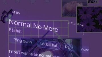 Normal No More (remix)