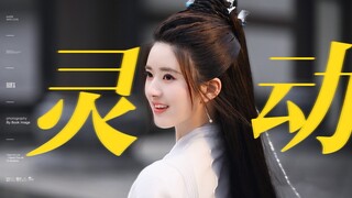 قطتك الرقيقة تُظهر لك حركتها القاتلة بتحريك رأسها بشكل مائل! نقص هائل في نقاط الحياة!!! [تشاو لو سي 