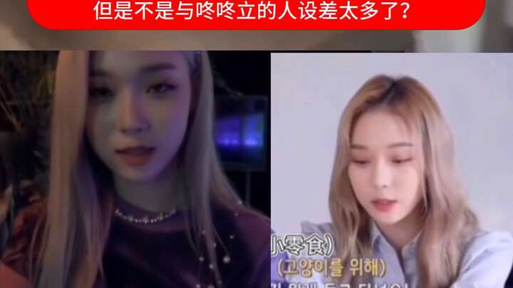 Jin Dong’s beloved pet persona totally crumbles! New lesson slides drop!