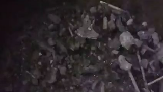 ash in bucket