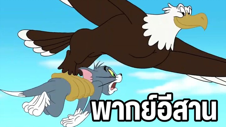 ทอมแอนด์เจอร์รี่ พากย์อีสาน ตอน เหยี่ยวสัตว์เลี้ยงของเจอร์รี่