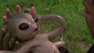 A strange pregnant woman had a belly as big as a cow and was pregnant for several years. In the end,