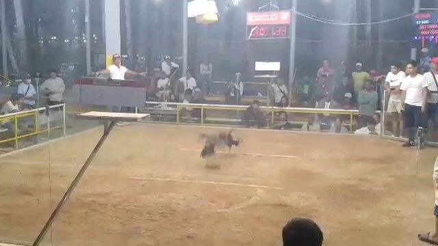 update buyer win kalaban KY boss boyet salgo