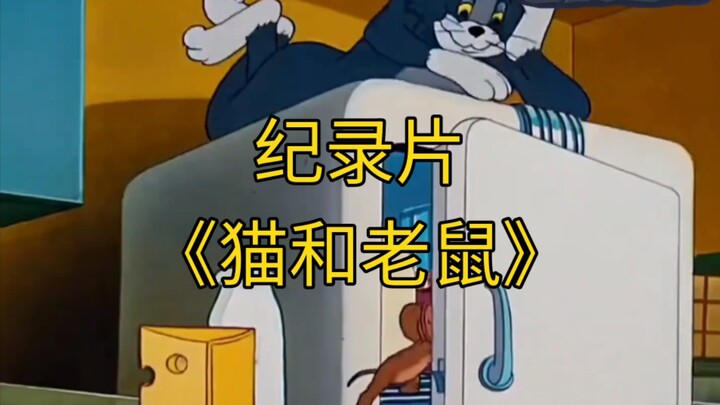 大型纪录片《猫和老鼠》持续为您播出！
