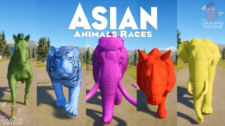 Colored Bengal Tiger, Indian Elephant, Camel & Others Colored Asian Animals Race in Planet Zoo 🦏🐴🦧