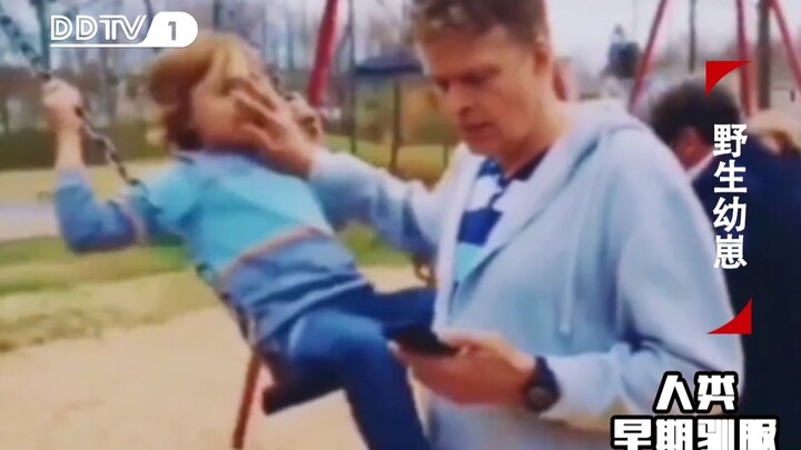 Precious footage of a dad taming a wild cub