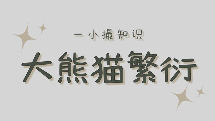 A giant panda getting pregnant is basically a glitch.