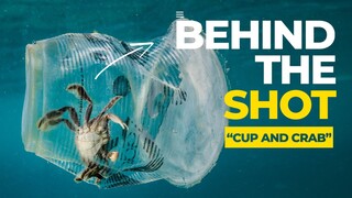 How I got that impossible Crab in Cup Underwater Photo for Greenpeace!