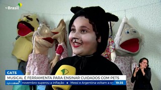 Musical Cats é usado para ensinar crianças sobre cuidados com pets