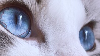 Mom says there’s not a single stray thought in my eyes except for food.